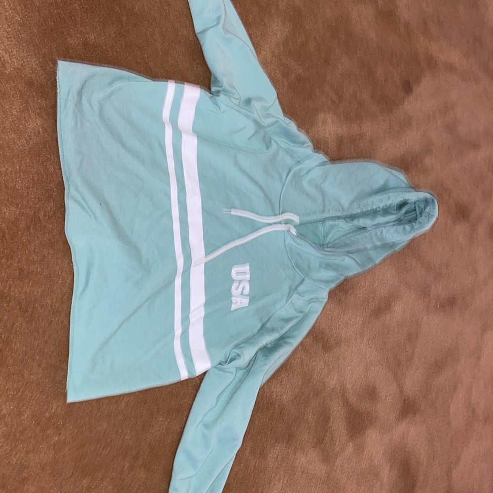 USA cropped hoodie